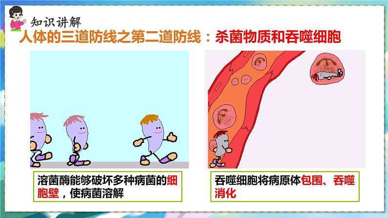 人教版生物8年级下册　第一章 第二节  免疫与计划免疫 PPT课件06