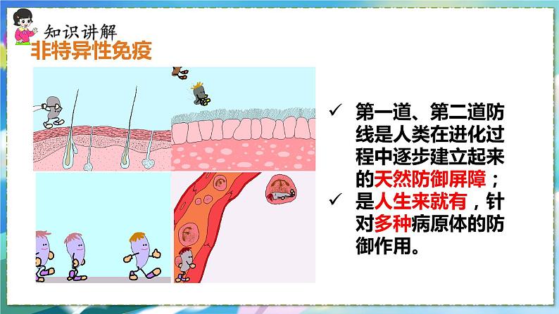 人教版生物8年级下册　第一章 第二节  免疫与计划免疫 PPT课件07