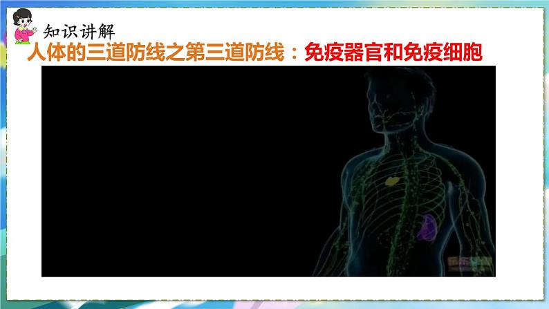 人教版生物8年级下册　第一章 第二节  免疫与计划免疫 PPT课件08