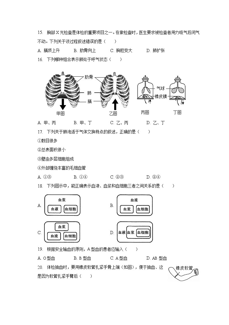 2022-2023学年福建省泉州市永春县侨中教研片区联考七年级（下）期中生物试卷（含解析）第3页