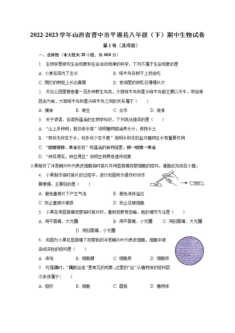 2022-2023学年山西省晋中市平遥县八年级（下）期中生物试卷（含解析）01