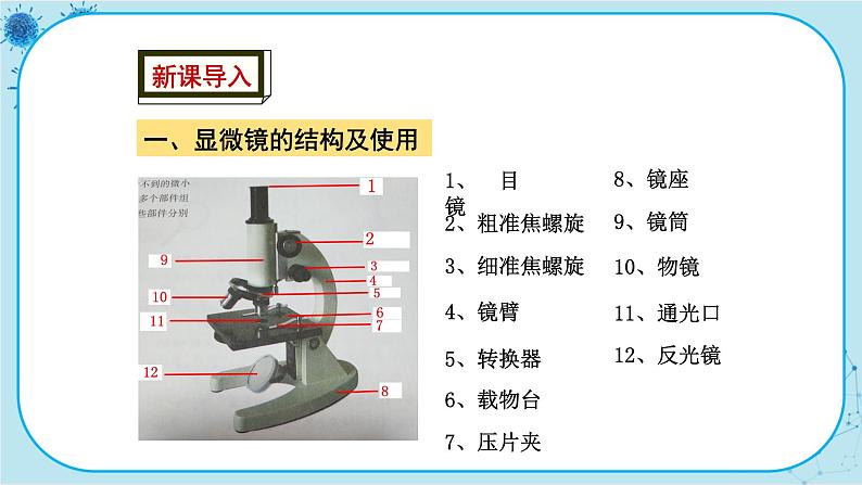 冀少版生物七年级上册 1.1 走进生物实验室 课件+教案02