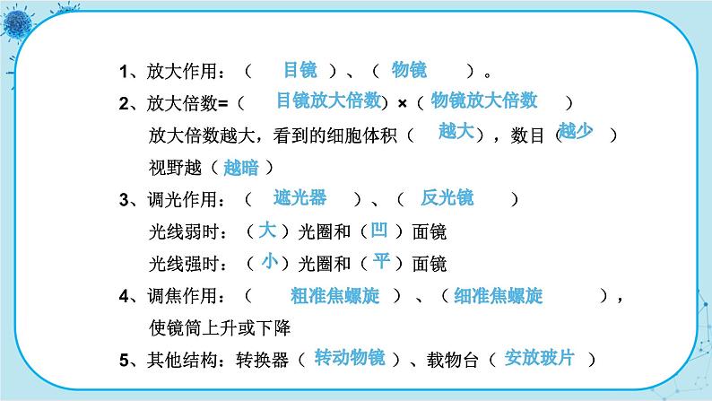 冀少版生物七年级上册 1.1 走进生物实验室 课件+教案03