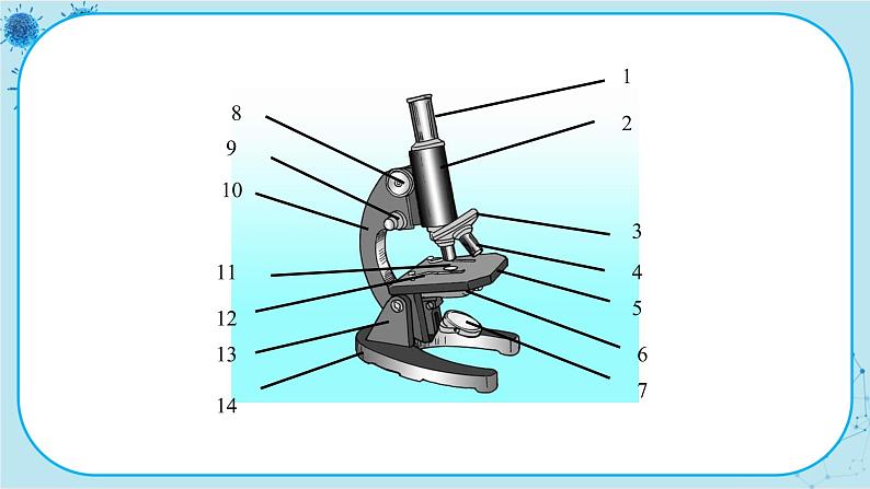 冀少版生物七年级上册 1.1 走进生物实验室 课件+教案06