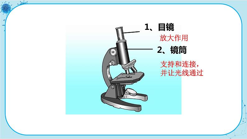 冀少版生物七年级上册 1.1 走进生物实验室 课件+教案07