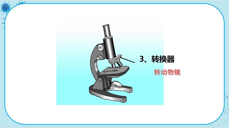 冀少版生物七年级上册 1.1 走进生物实验室 课件+教案08