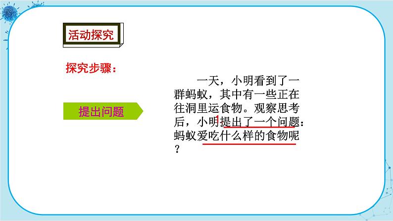 冀少版生物七年级上册 1.4 学习探究 课件+教案06