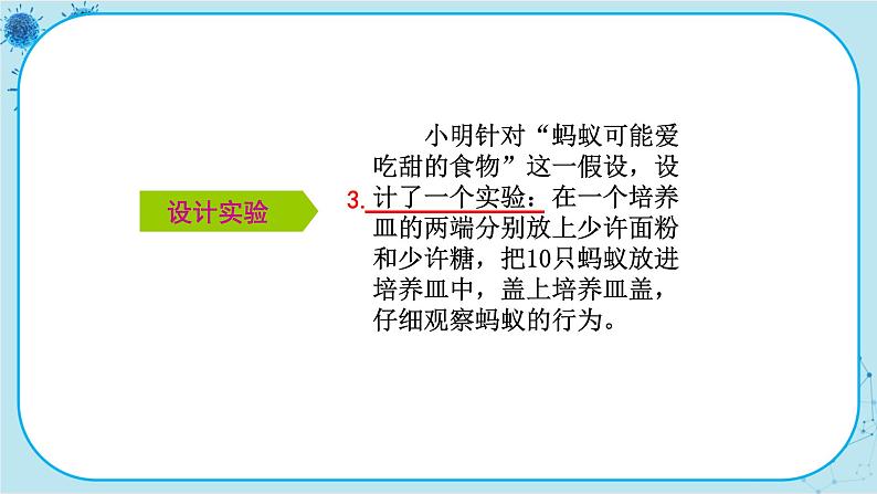 冀少版生物七年级上册 1.4 学习探究 课件+教案08