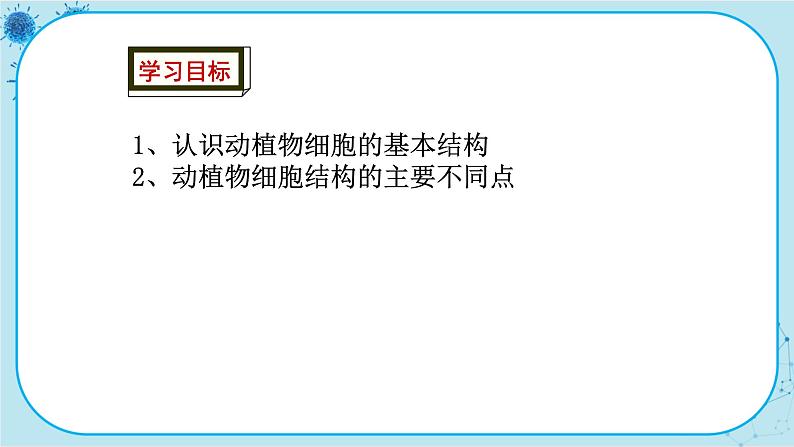 冀少版生物七年级上册 2.1 细胞 课件+教案02