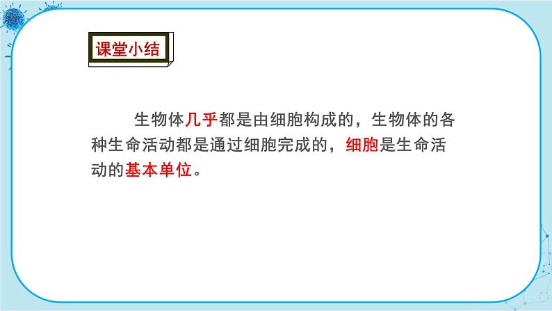 冀少版生物七年级上册 2.1 细胞 课件+教案07