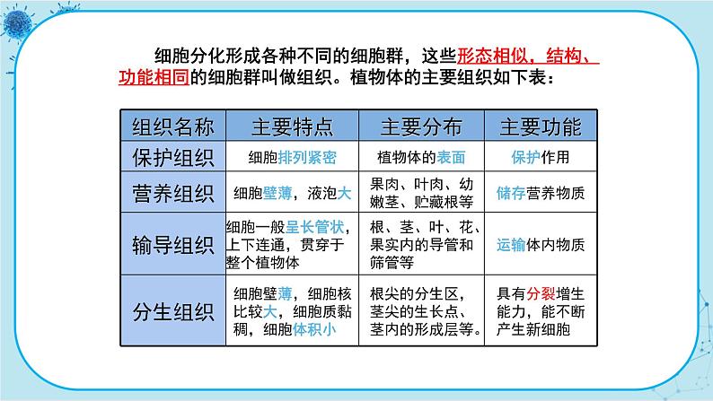 第2节   细胞分化形成组织第8页