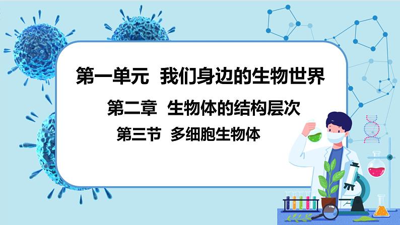 冀少版生物七年级上册 2.3 多细胞生物体 课件+教案01