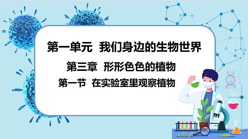 冀少版生物七年级上册 3.1 在实验室里观察植物 课件+教案01