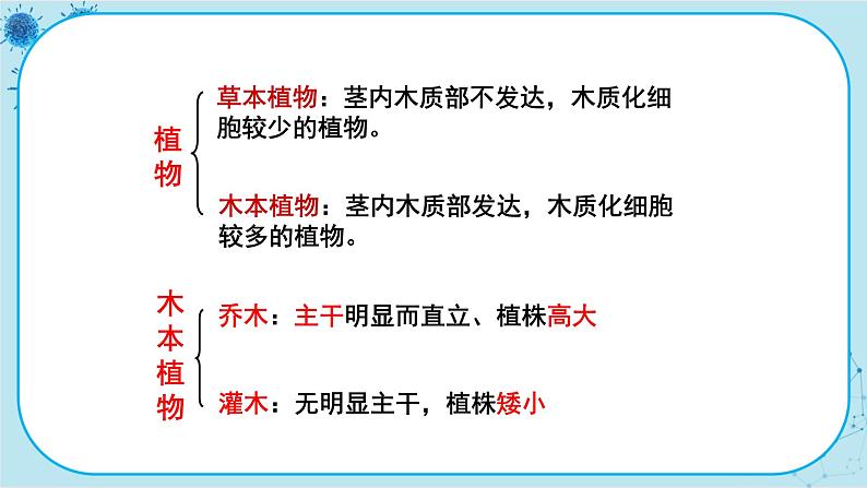 冀少版生物七年级上册 3.2 校园植物调查 课件+教案06