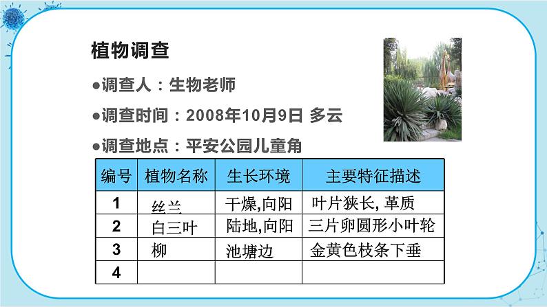 冀少版生物七年级上册 3.2 校园植物调查 课件+教案08