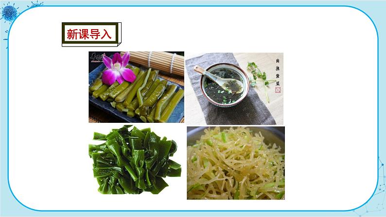 冀少版生物七年级上册 3.3 藻类植物 课件+教案02