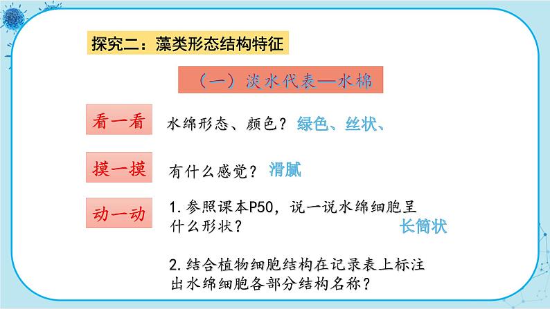 冀少版生物七年级上册 3.3 藻类植物 课件+教案06