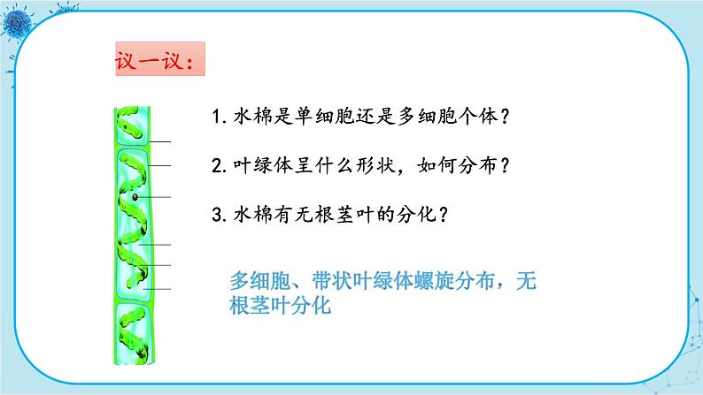 冀少版生物七年级上册 3.3 藻类植物 课件+教案08