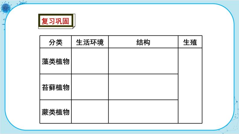 3.5 裸子植物（课件PPT+教案）03