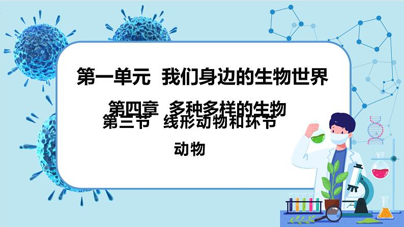 冀少版生物七年级上册 4.3 线形动物和环节动物 课件+教案01