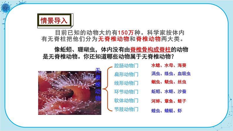 冀少版生物七年级上册 4.6 鱼类 课件+教案02