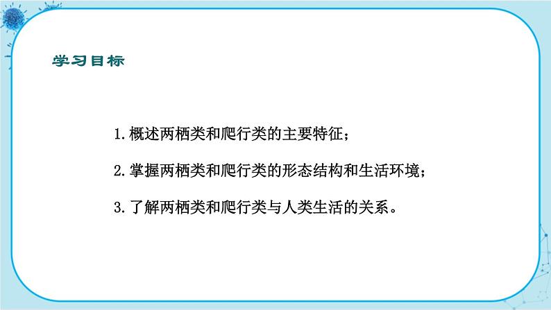 冀少版生物七年级上册 4.7 两栖类和爬行类 课件+教案02