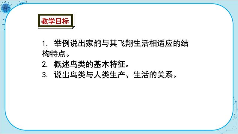 冀少版生物七年级上册 4.8 鸟类 课件+教案02