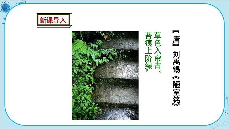 冀少版生物七年级上册 3.4 苔藓植物与蕨类植物 课件+教案02