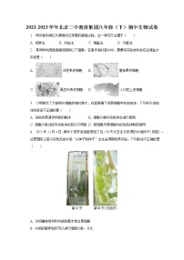 2022-2023学年北京二中教育集团八年级（下）期中生物试卷（含解析）