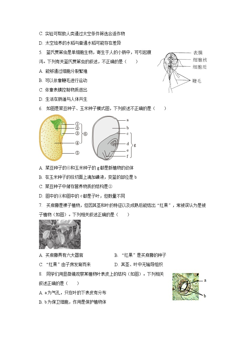 2022-2023学年北京二中教育集团八年级（下）期中生物试卷（含解析）02