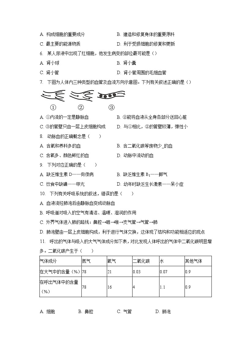 2022-2023学年山东省枣庄市台儿庄区七年级（下）期中生物试卷（含解析）02