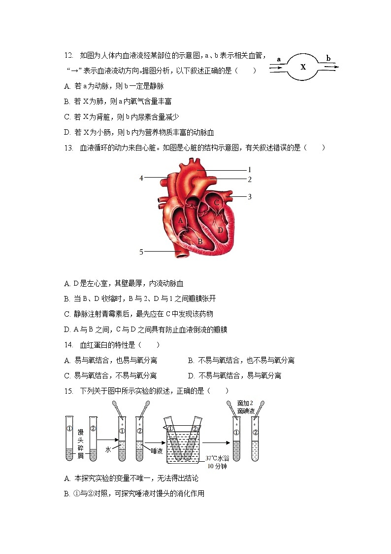 2022-2023学年山东省枣庄市台儿庄区七年级（下）期中生物试卷（含解析）03