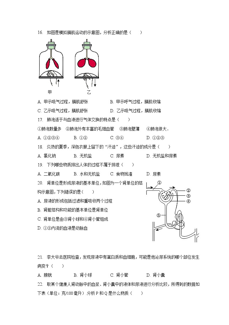 2022-2023学年安徽省宿州市砀山县七年级（下）期中生物试卷（含解析）03