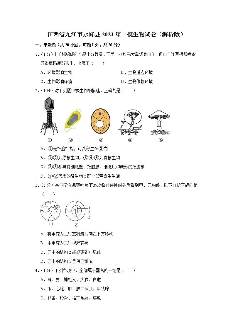 2023年江西省九江市永修县一模生物试卷(含答案)01
