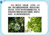 冀少版生物七年级上册 3.7 我国的珍稀植物 课件+教案