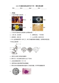 2023年湖南省张家界市中考一模生物试题