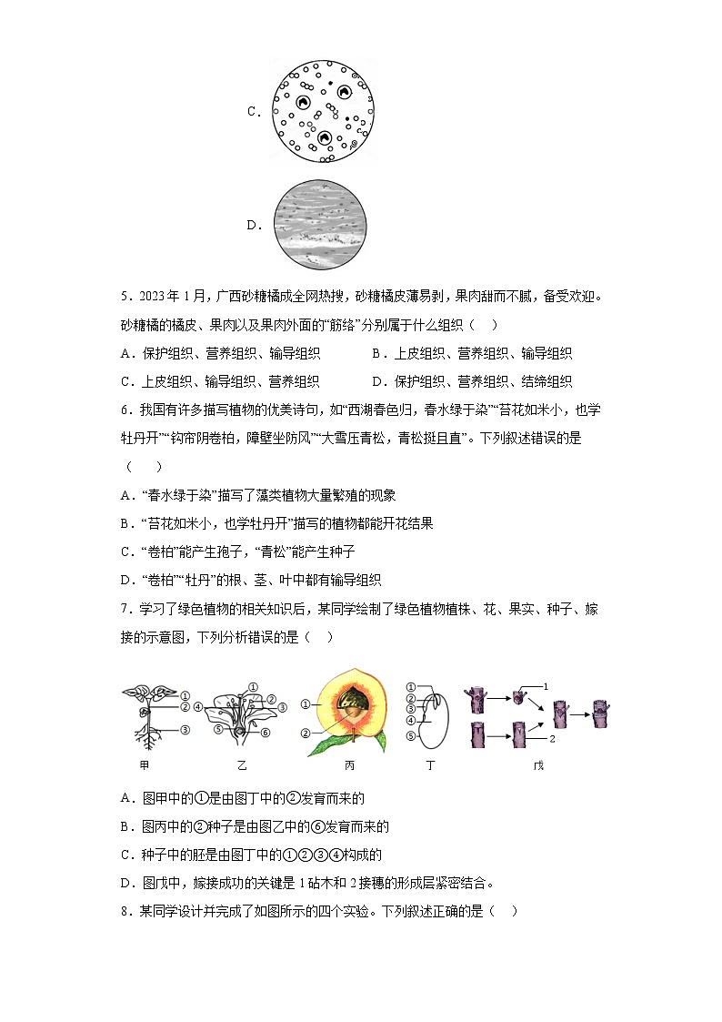 2023年湖南省张家界市中考一模生物试题02