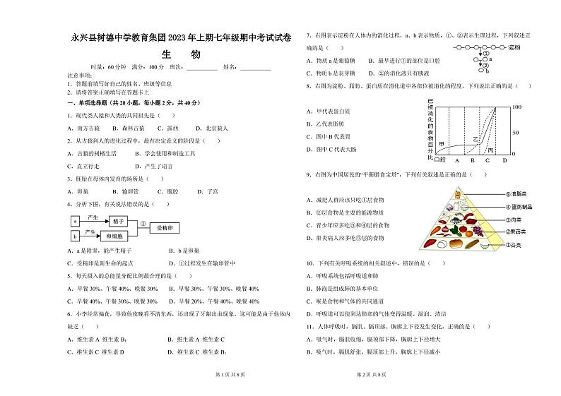 湖南省永兴县树德中学教育集团2022-2023学年七年级下学期期中生物试卷01