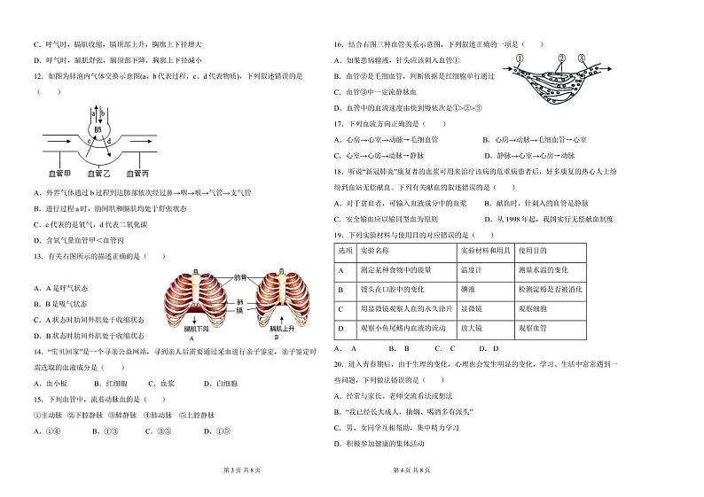 湖南省永兴县树德中学教育集团2022-2023学年七年级下学期期中生物试卷02