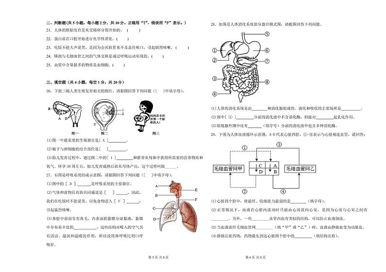 湖南省永兴县树德中学教育集团2022-2023学年七年级下学期期中生物试卷03