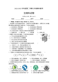 广东省清远市清新区第二中学、山塘镇初中等五校2022-2023学年七年级下学期期中考试生物试题