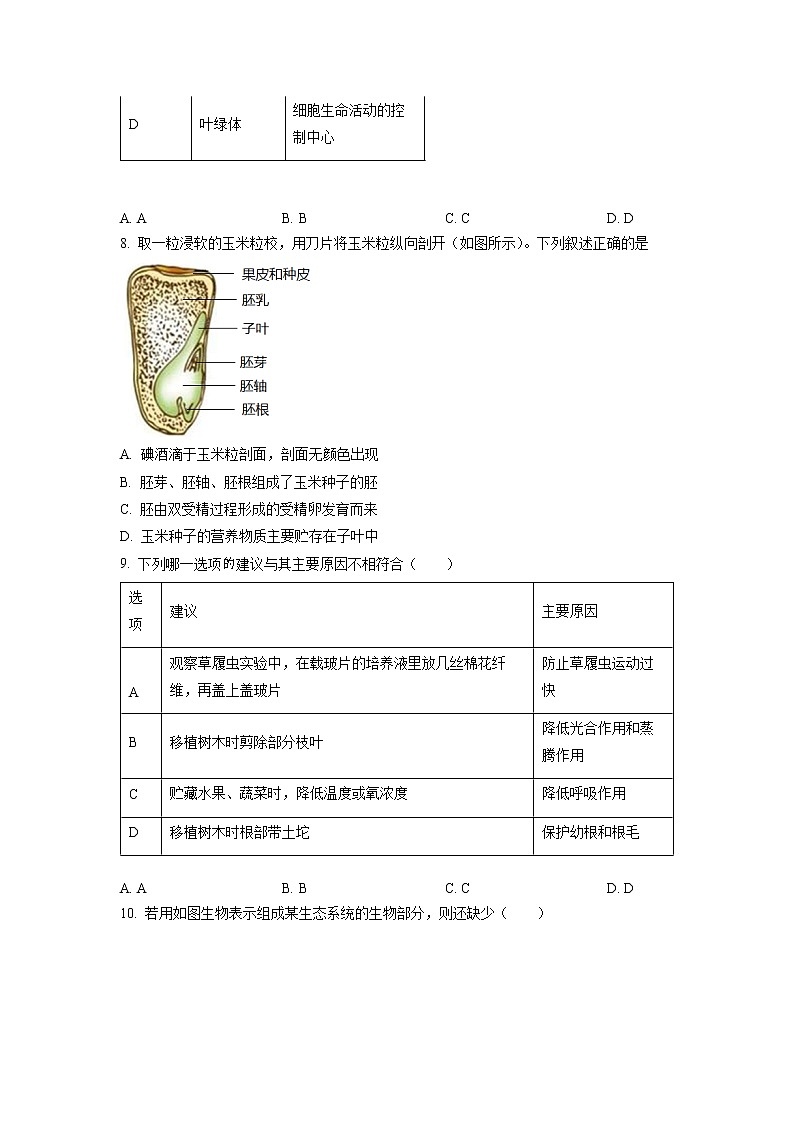 广东省深圳市2022-2023学年七年级上学期期末生物试题03