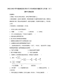 2022-2023学年湖南省长沙市宁乡市西部乡镇联考七年级（下）期中生物试卷(含解析）