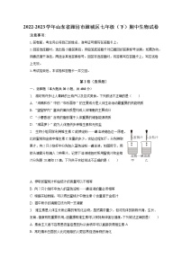 2022-2023学年山东省潍坊市潍城区七年级（下）期中生物试卷(含解析）