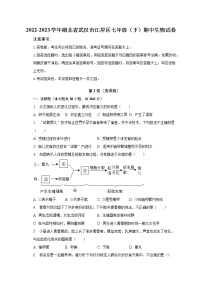 2022-2023学年湖北省武汉市江岸区七年级（下）期中生物试卷(含解析）
