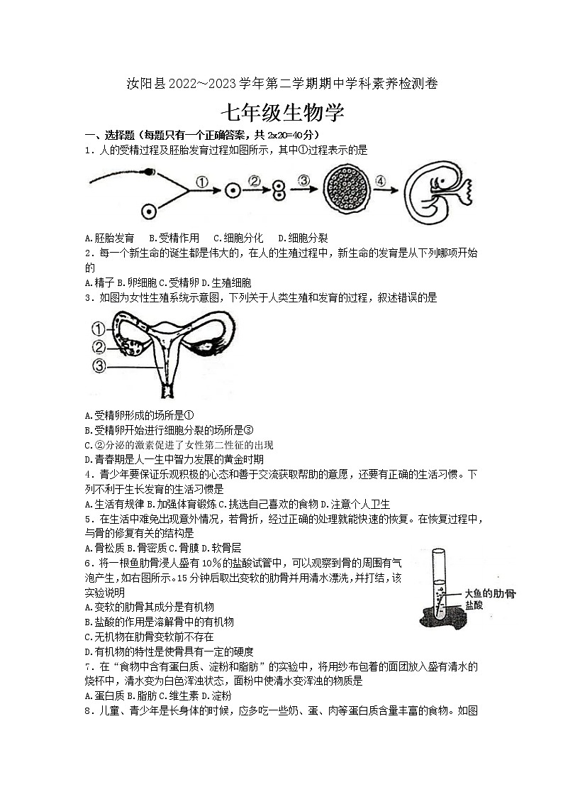 河南省洛阳市汝阳县2022-2023学年七年级下学期期中生物试题(含答案)01