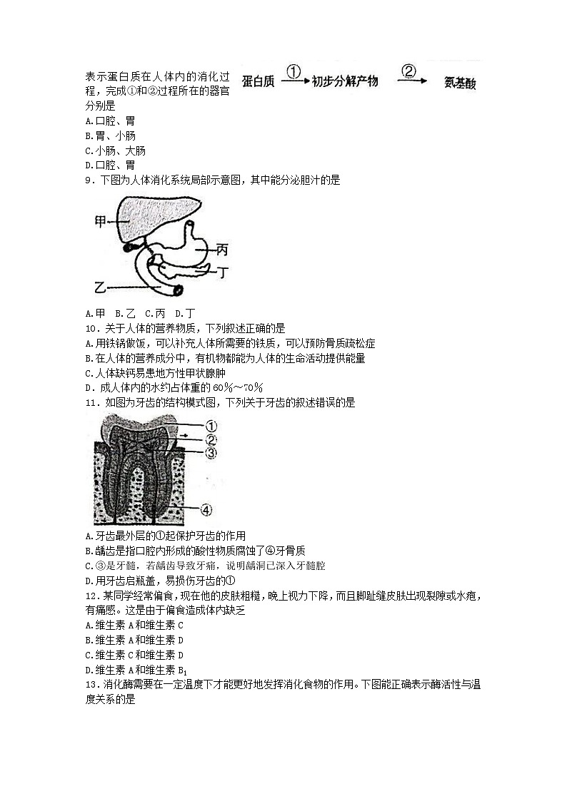 河南省洛阳市汝阳县2022-2023学年七年级下学期期中生物试题(含答案)02