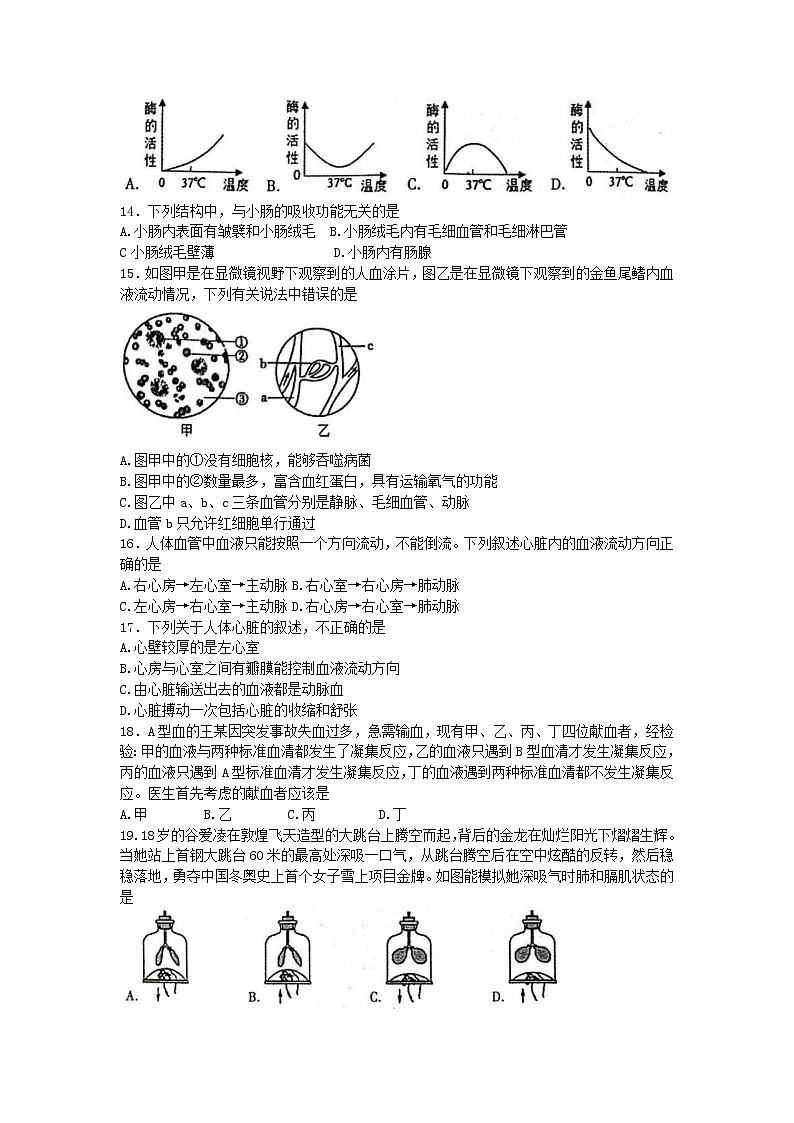 河南省洛阳市汝阳县2022-2023学年七年级下学期期中生物试题(含答案)03