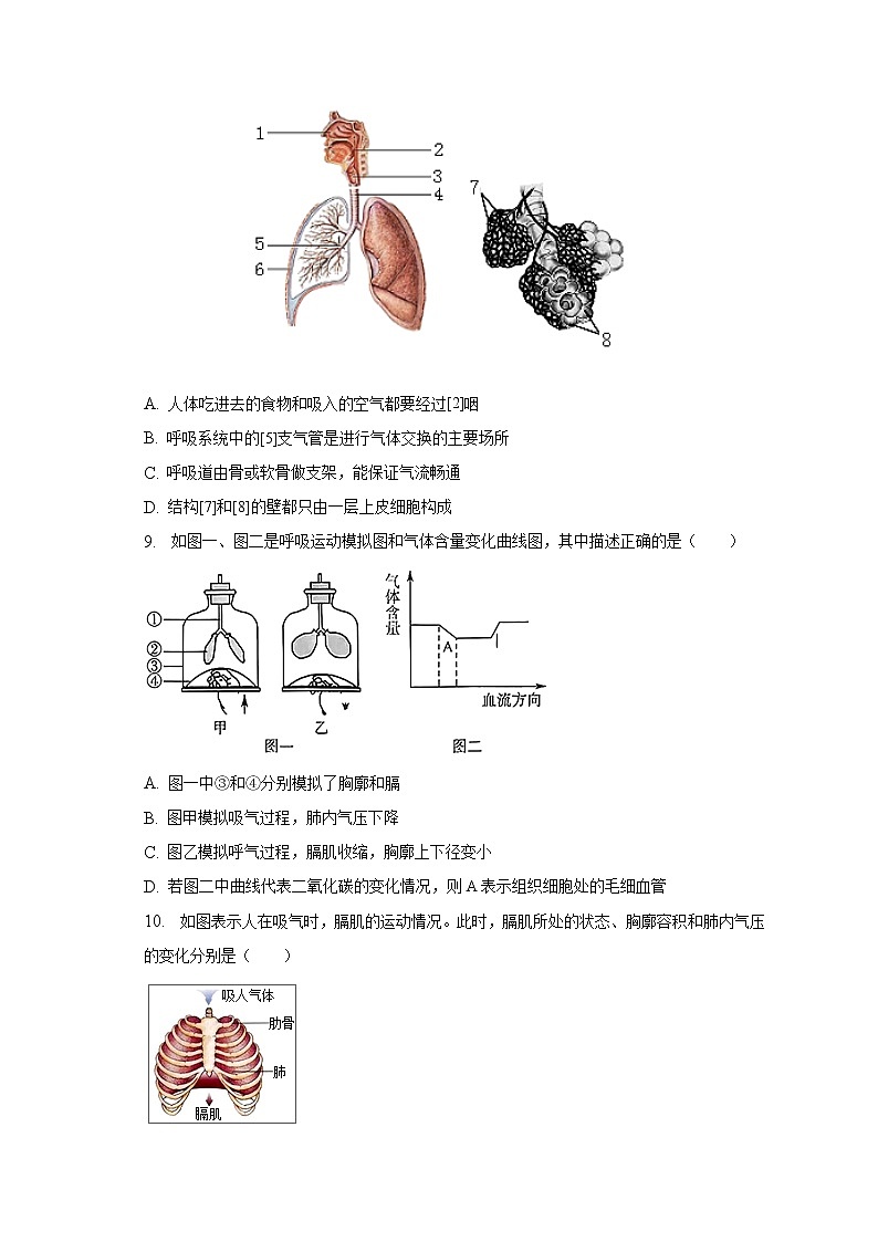 山东省济南市历城区2022-2023学年七年级下学期期中考试生物试卷(含答案)03