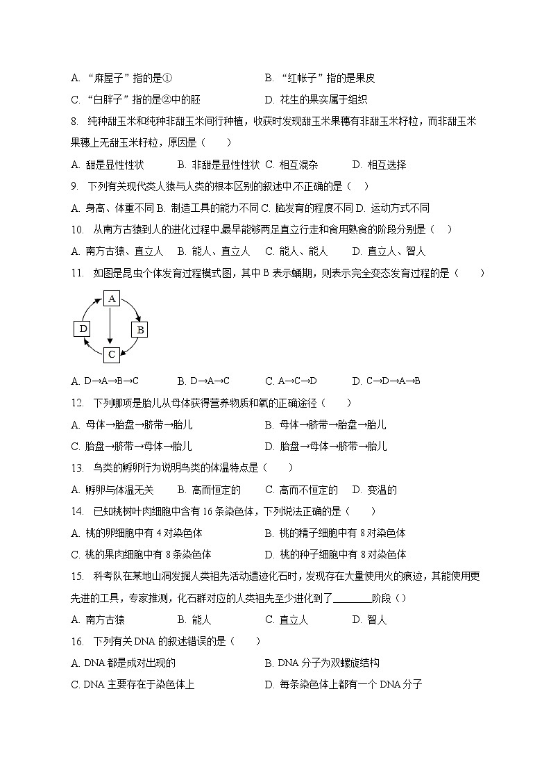 广西钦州市第四中学2022-2023学年八年级下学期期中考试生物试卷(含答案)02